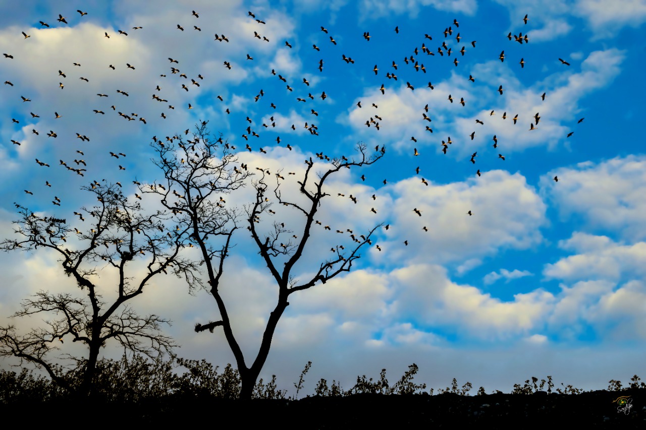 Explore the Untold Stories & Hidden Mysteries of West Bengal